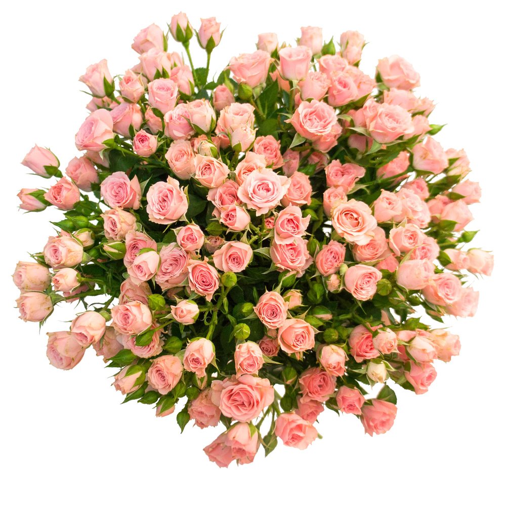 Букет розовых кустовых роз в Зеленогорске Красноярского края
