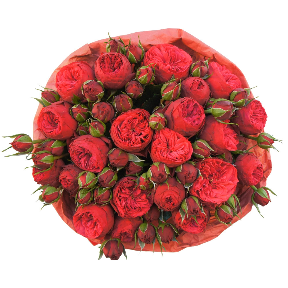 Букет из кустовых пионовидных роз Red Piano в Зеленогорске Красноярского края