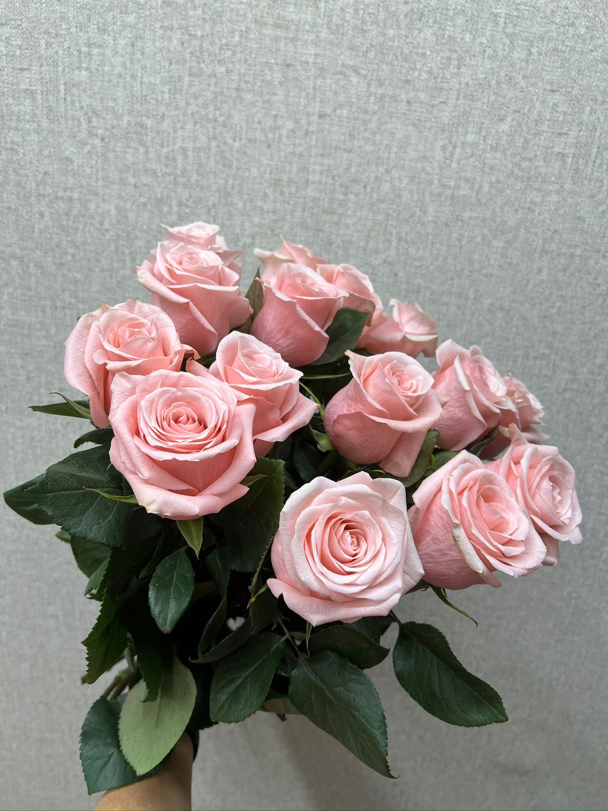 Букет из 15 розовых роз в Зеленогорске Красноярского края Букет из 15 розовых роз Зеленогорск Красноярский край