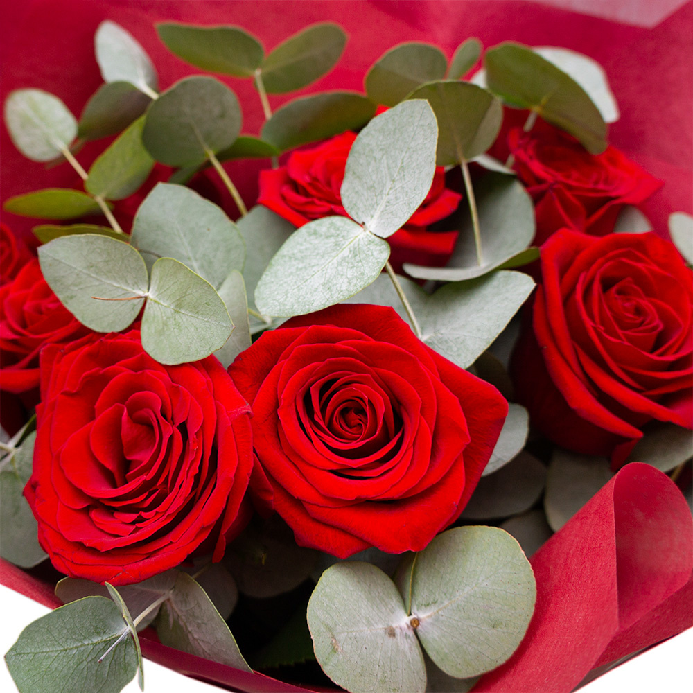 Букет из 9 красных роз с эвкалиптом в Зеленогорске Красноярского края