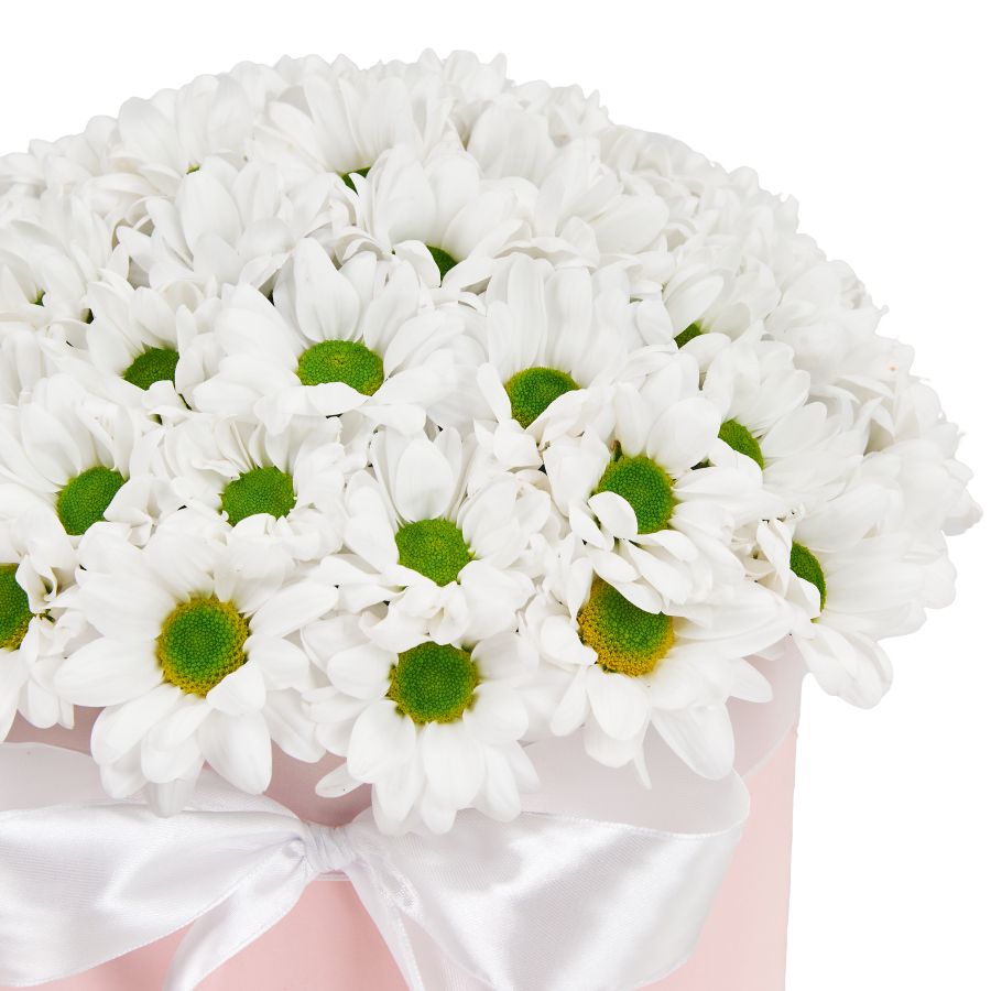 Букет из 11 белых хризантем в шляпной коробке в Зеленогорске Красноярского края